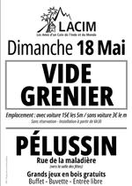 Vide grenier_Pélussin