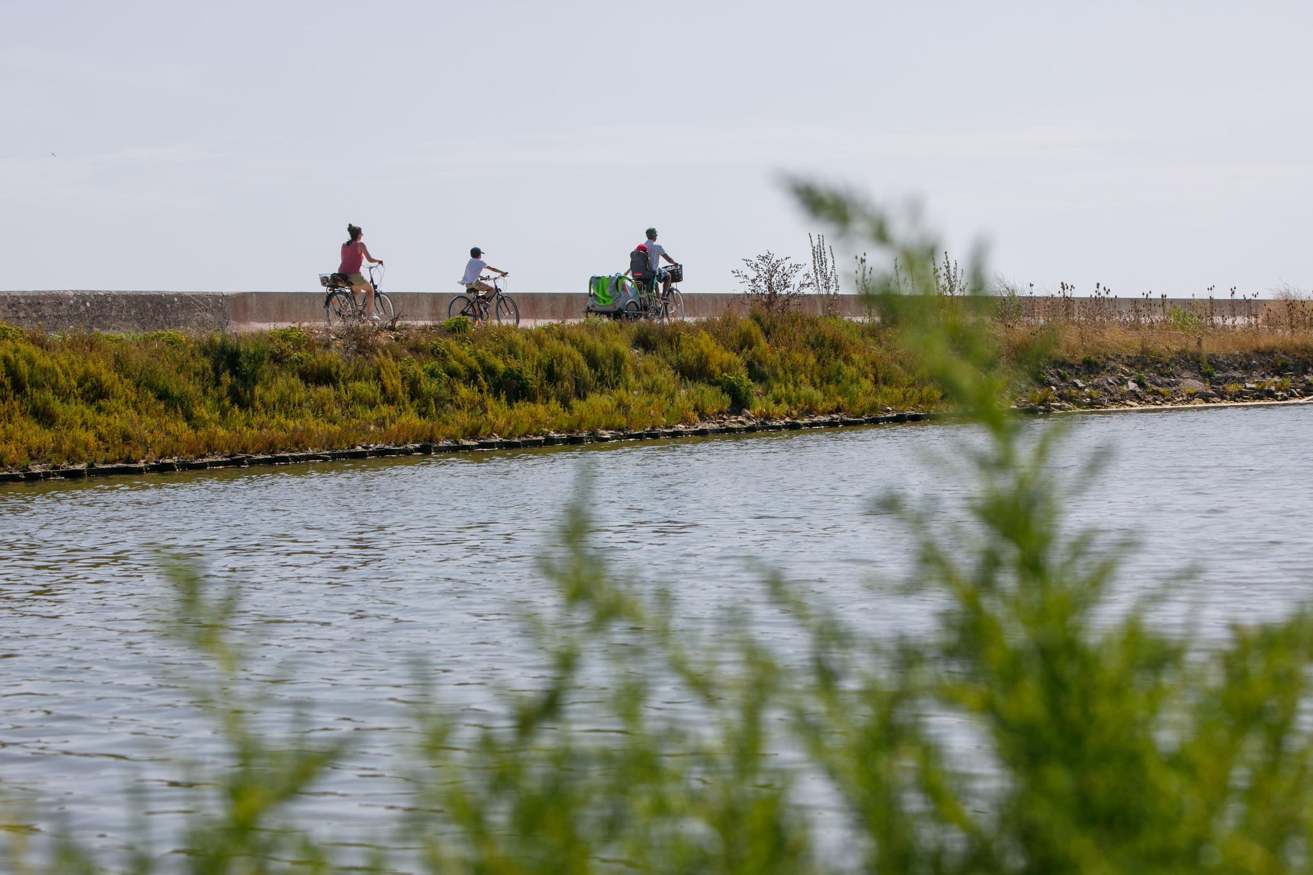 Chemin gourmand de la presqu'île à vélo
