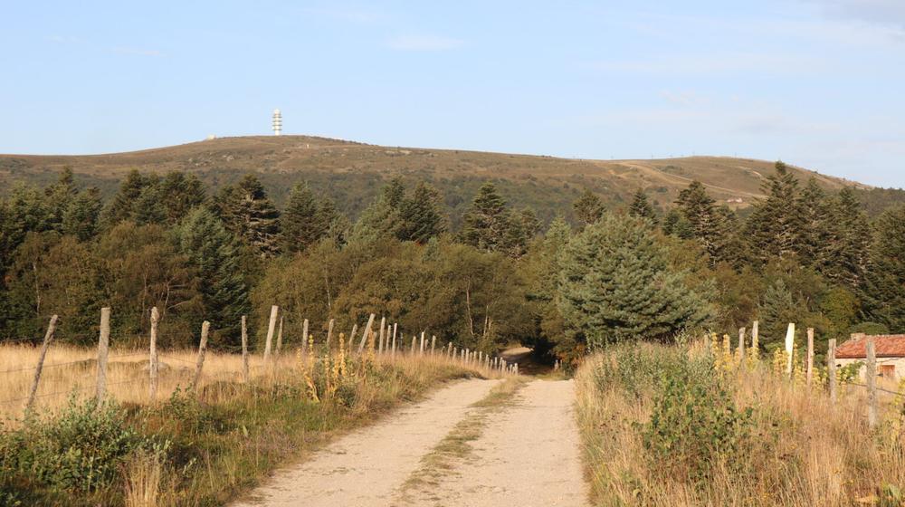 A la découverte des hautes chaumes du Forez_Saint-Bonnet-le-Courreau
