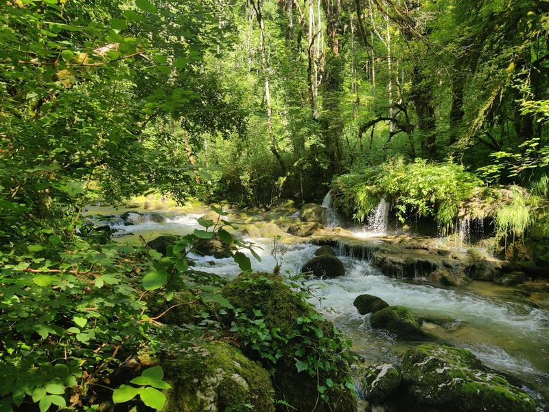rivière de l'Albarine rivière de l'Albarine
