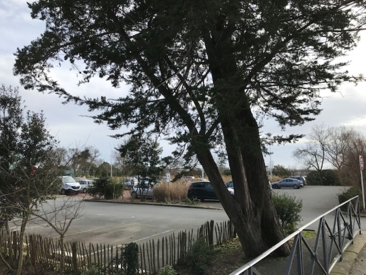 Parking Boulevard Victor Hugo