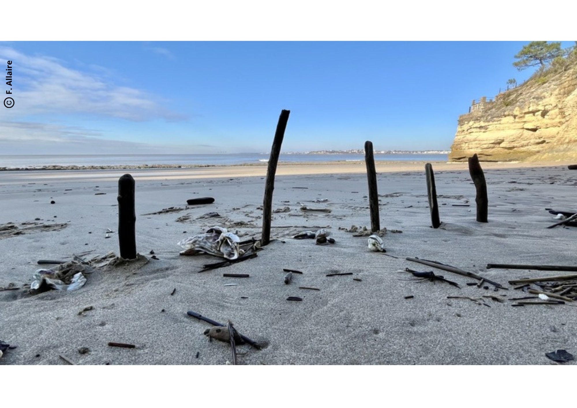 "Gardiens du littoral"
