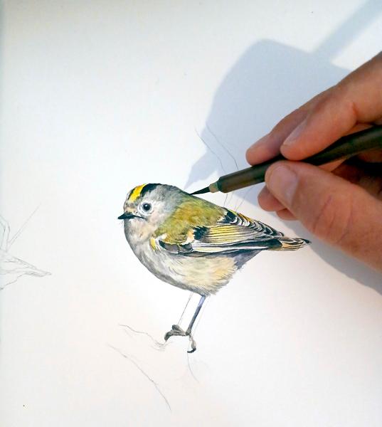 LE CHÂTEAU INVITE : Jessica Cognard_Sallanches