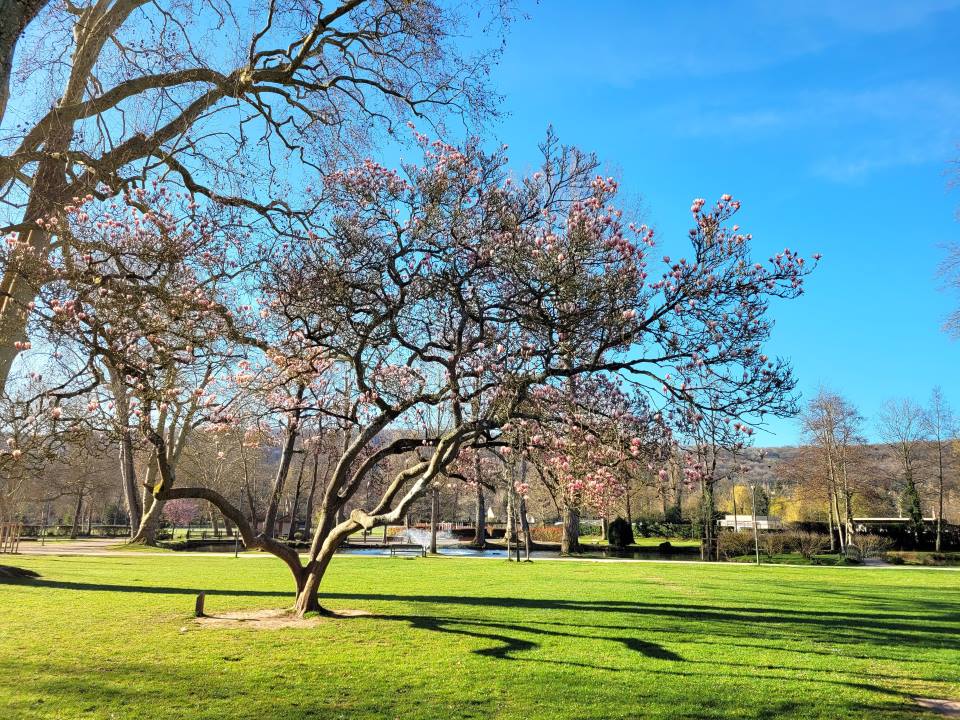 Parc de la mairie_Gif-sur-Yvette