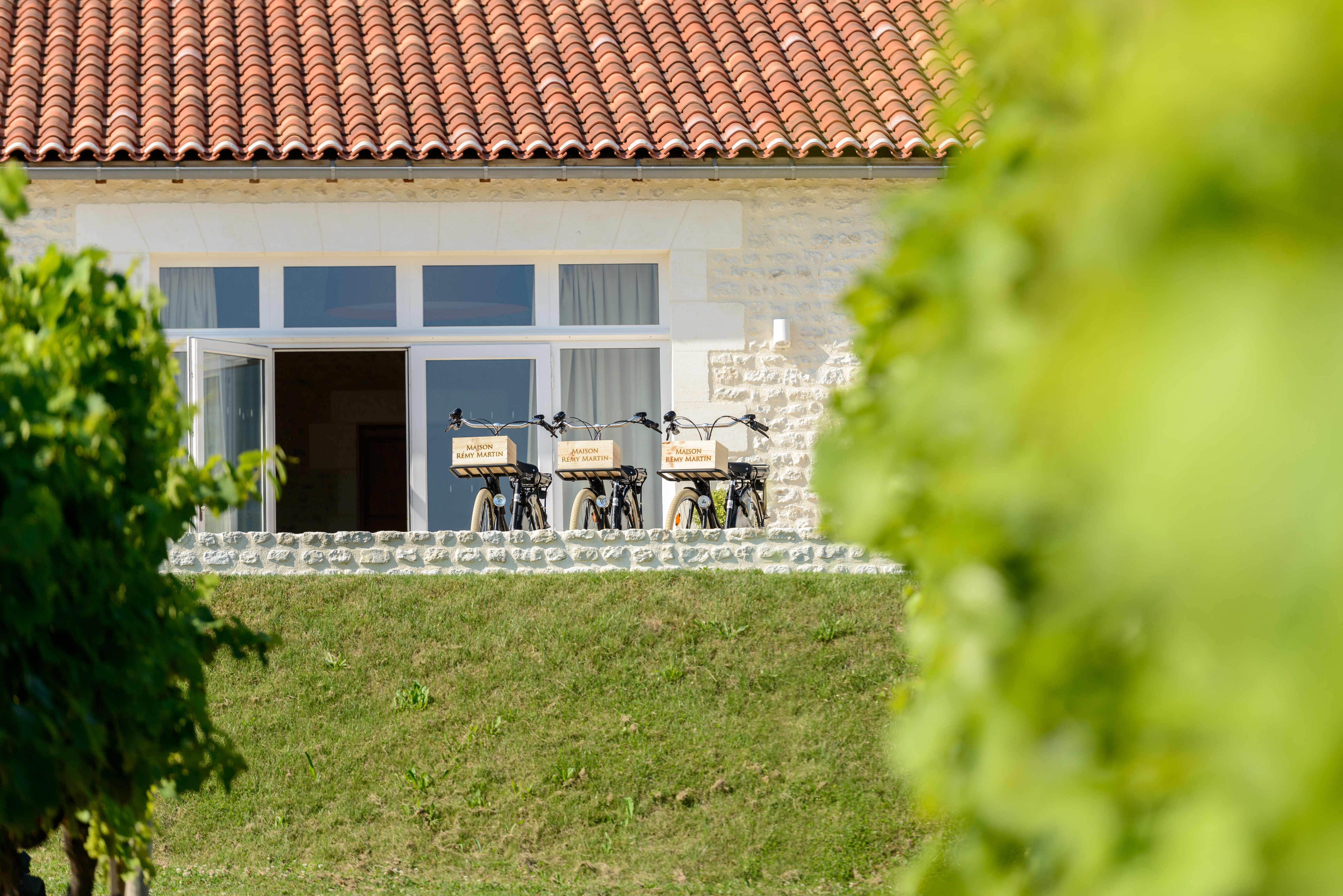 Rémy Martin Balade à vélo dans le vignoble