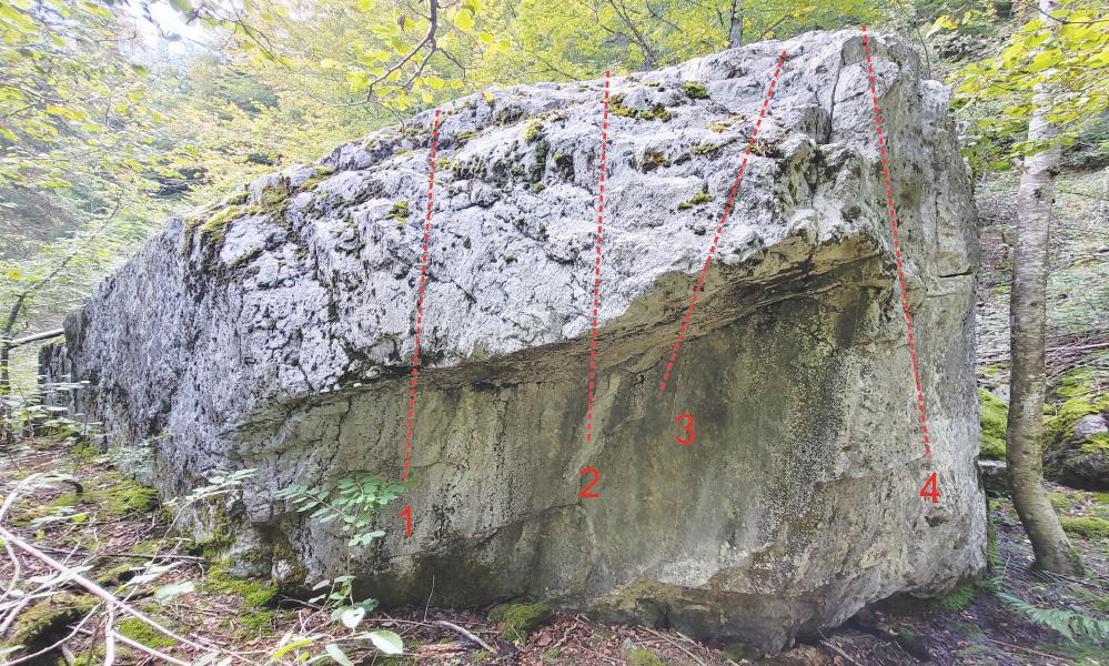 Blocs d'escalade du Plateau d'Assy_Passy