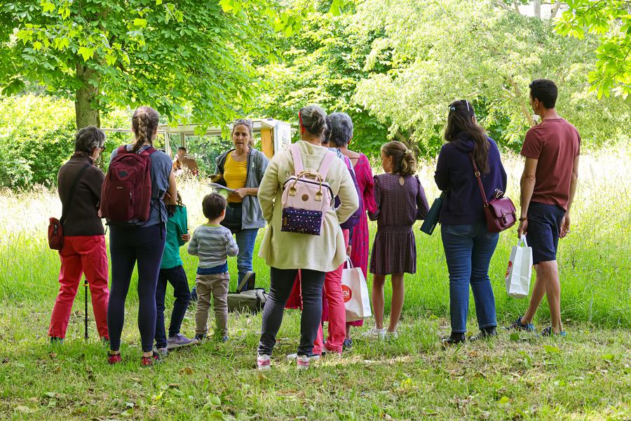 La Vie du Cloître St Salvi autour du jardin de simples