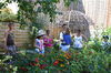 Saint Pourçain la vigneronne Ⓒ OT Vds