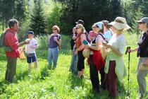 Comprendre et utiliser les plantes_Bernex