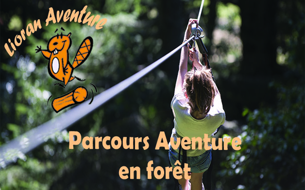 Tree line adventure course Lioran Aventure