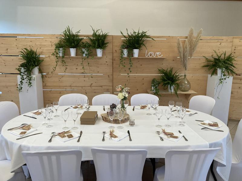 Château des Pertonnières