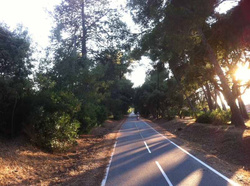 Parcours cyclable du littoral V65