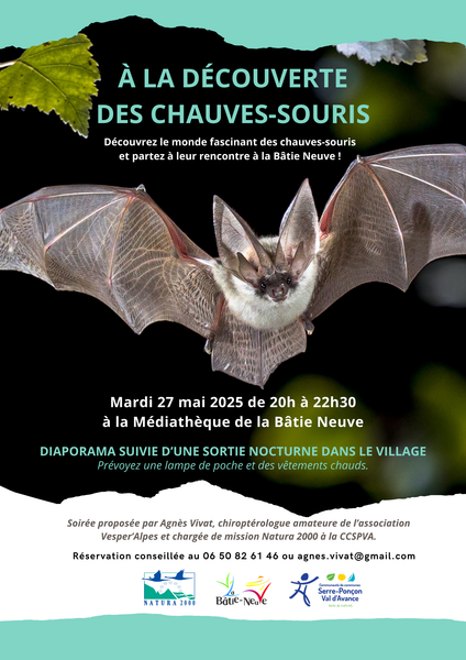 - © CCSPVA A la découverte des chauves-souris_La Bâtie-Neuve - © CCSPVA