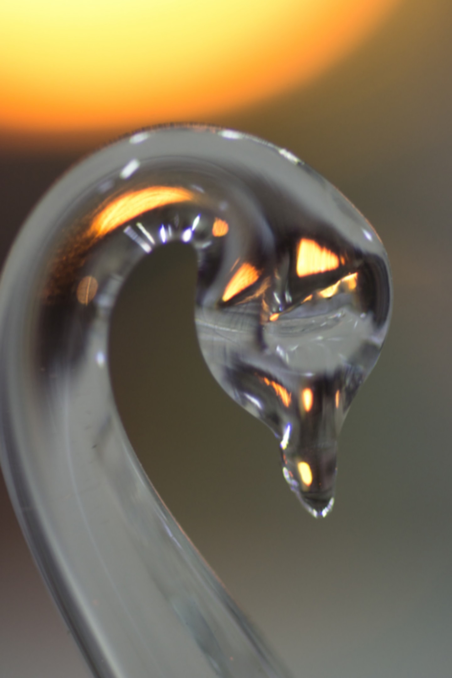 Alban Gaillard : Souffleur de verre, Saint-Rémy-de-Provence - photo 3