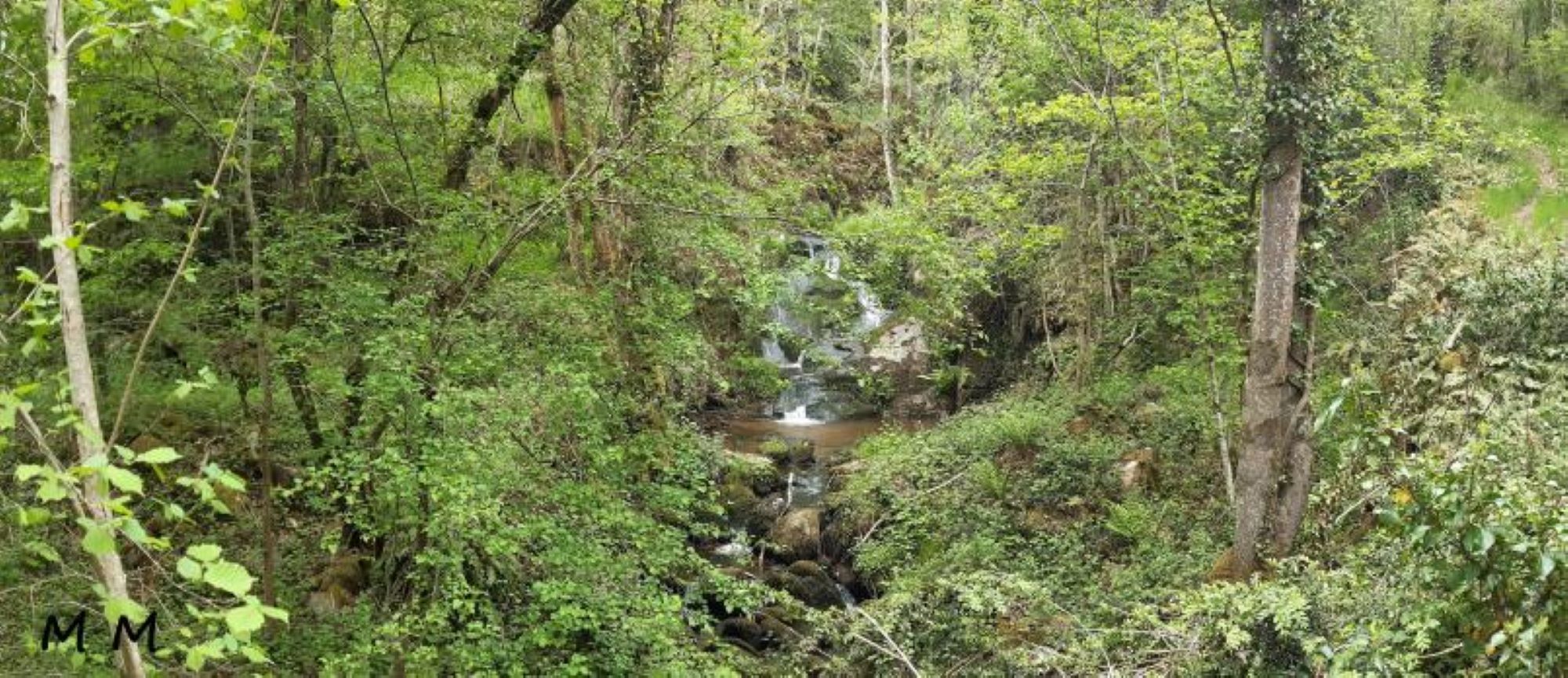 Cascade de Champeaux