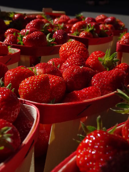 Fraises Fraises