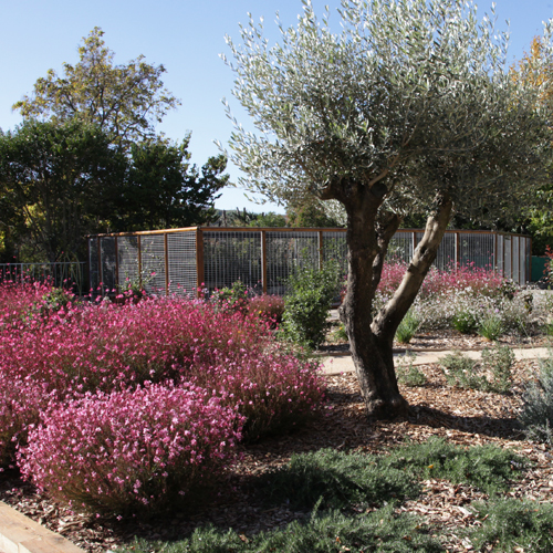 Ferme pédagogique des Pennes Mirabeau, Les Pennes-Mirabeau - photo 4