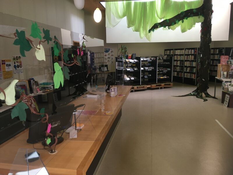 Médiathèque de Anse - Espace accueil / Secteur Adultes