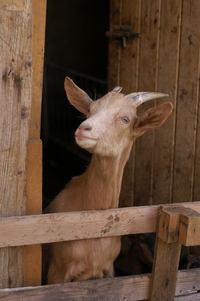 La Ferme du Planay