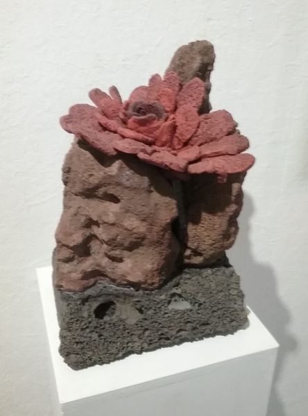 Expositions à la Galerie Mikaleff