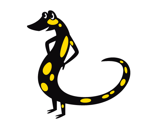 Qui es-tu salamandre ? | Atelier enfant