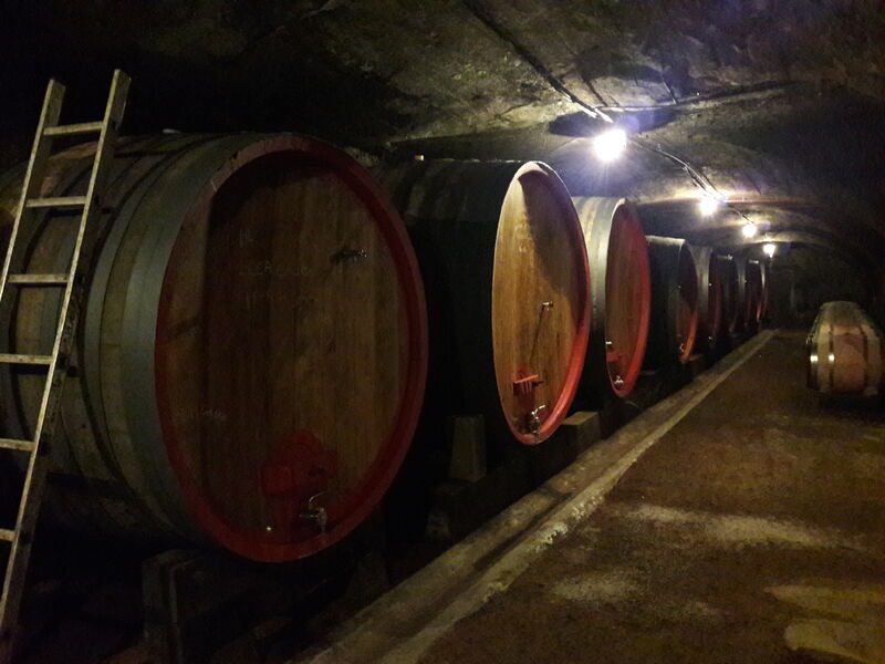 Le Caveau du Château de Fleurie