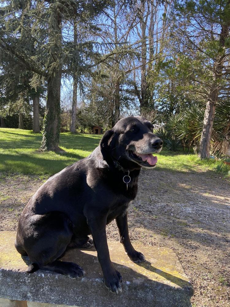 Mas du Breuil, Graveson - photo 15