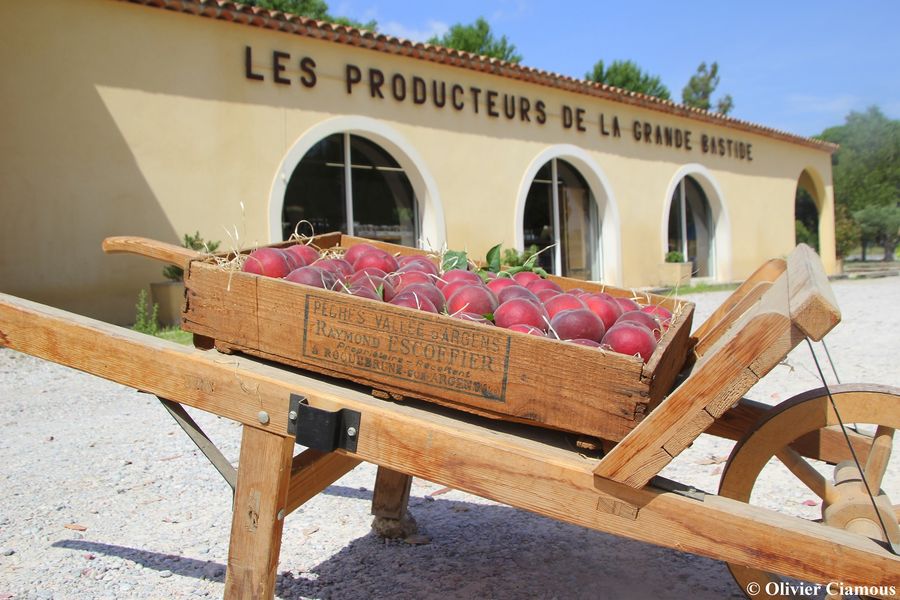Cagette de pêches Grande bastide