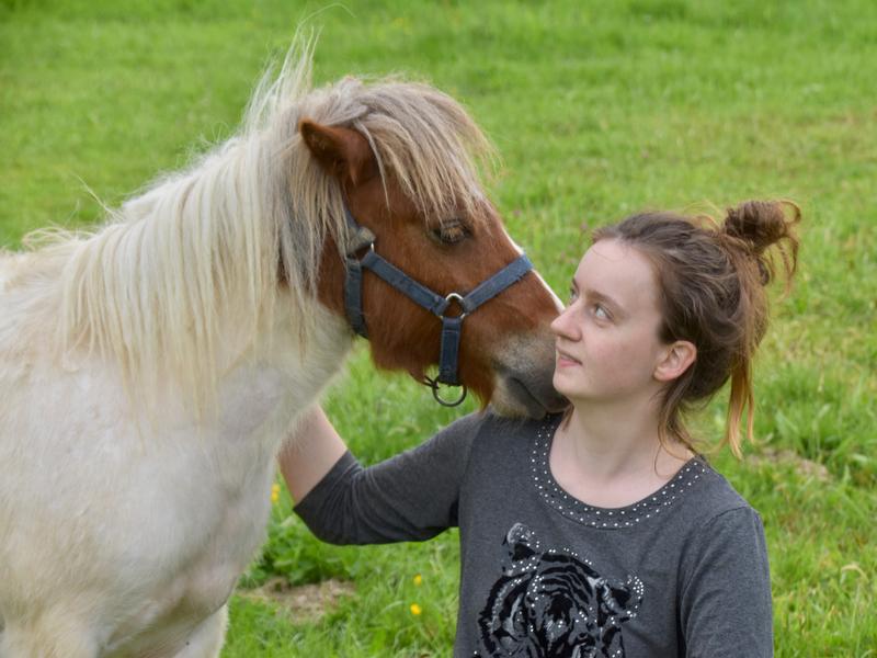 Centre équestre Les Poneys d'Aria