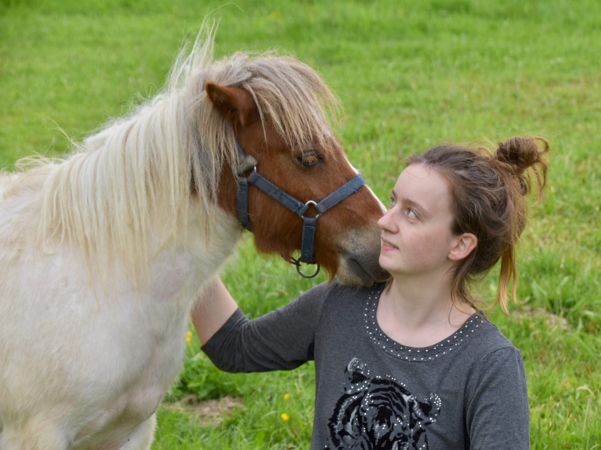 Centre équestre Les Poneys d'Aria