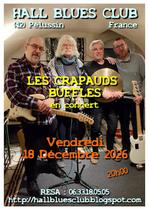 Concert "Les Crapauds Buffles (UK/F)" - Hall Blues Club_Pélussin