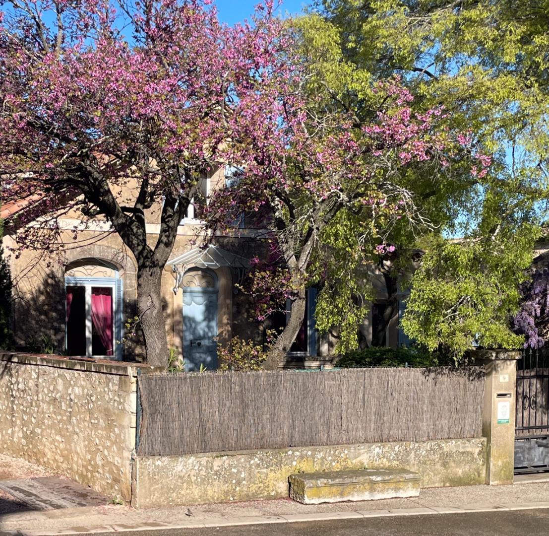 La Maison de la Place, Eygalières - photo 12