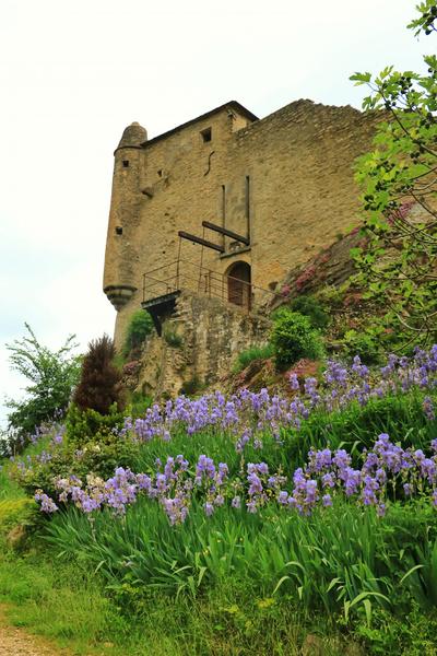 La maison forte de Vertrieu - Balcons du Dauphiné