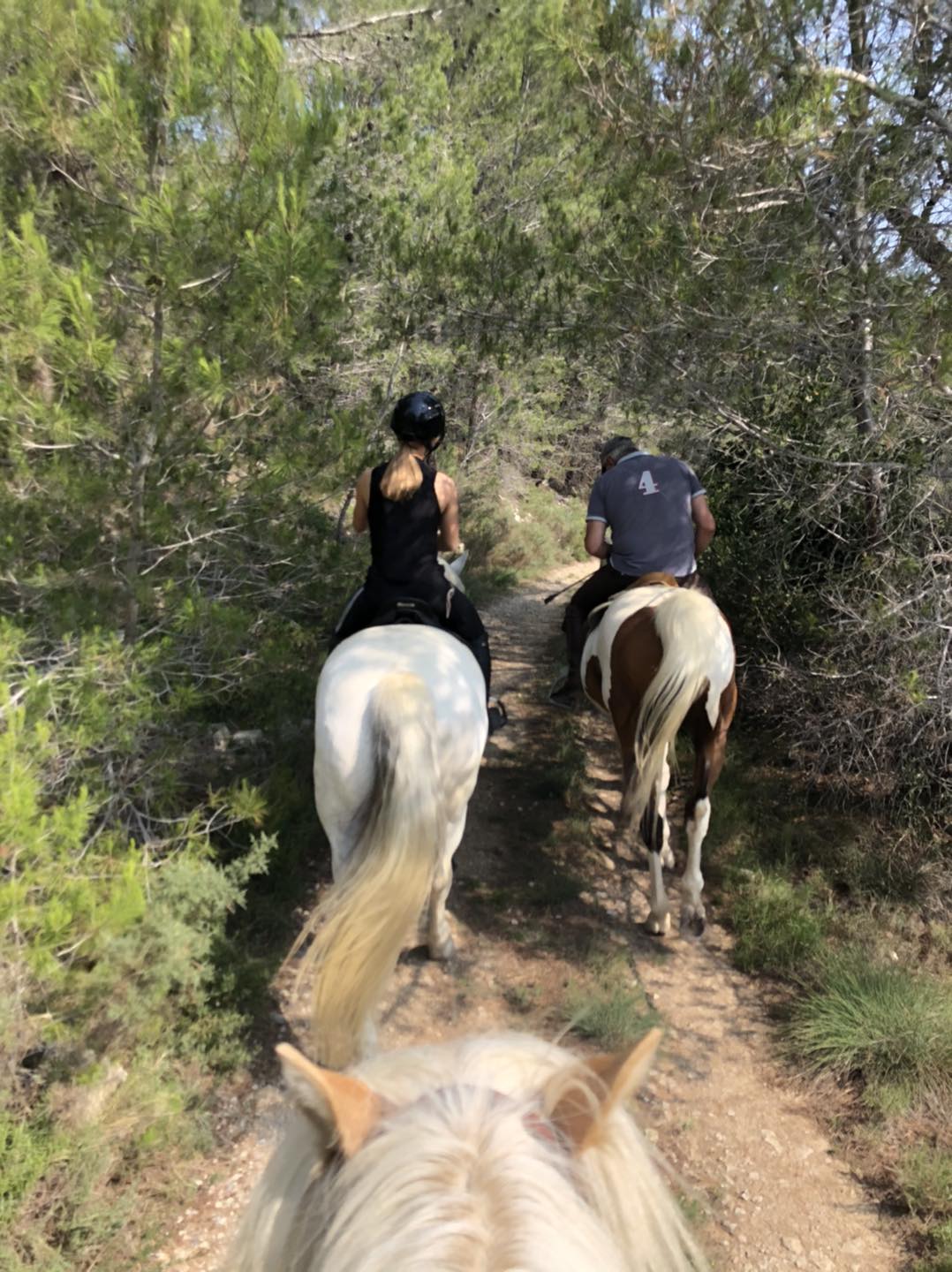 Les Ecuries de Maillane, Maillane - photo 5