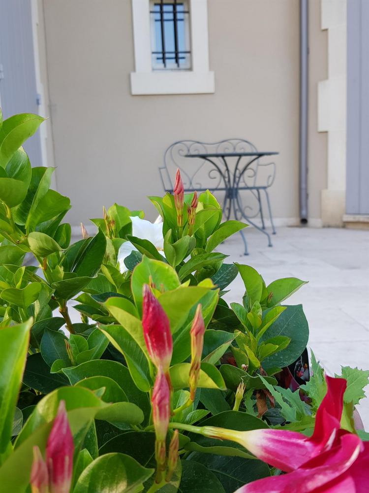 La Coccinelle d'Emilie, Noves - photo 18