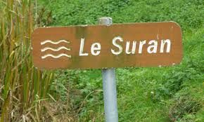 Suran Suran