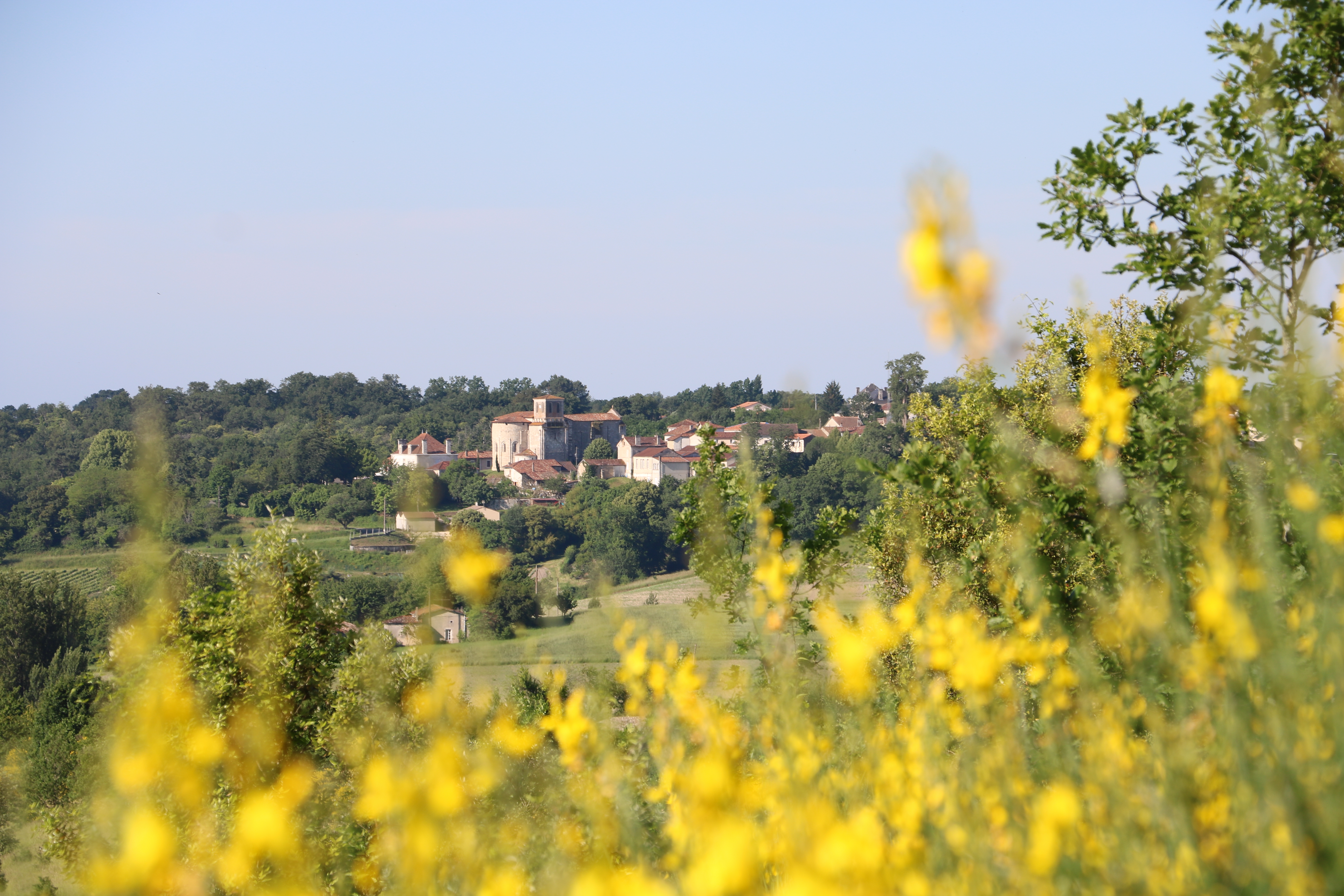 Boucle vélo route Brossac Sud - Circuit découverte 3B