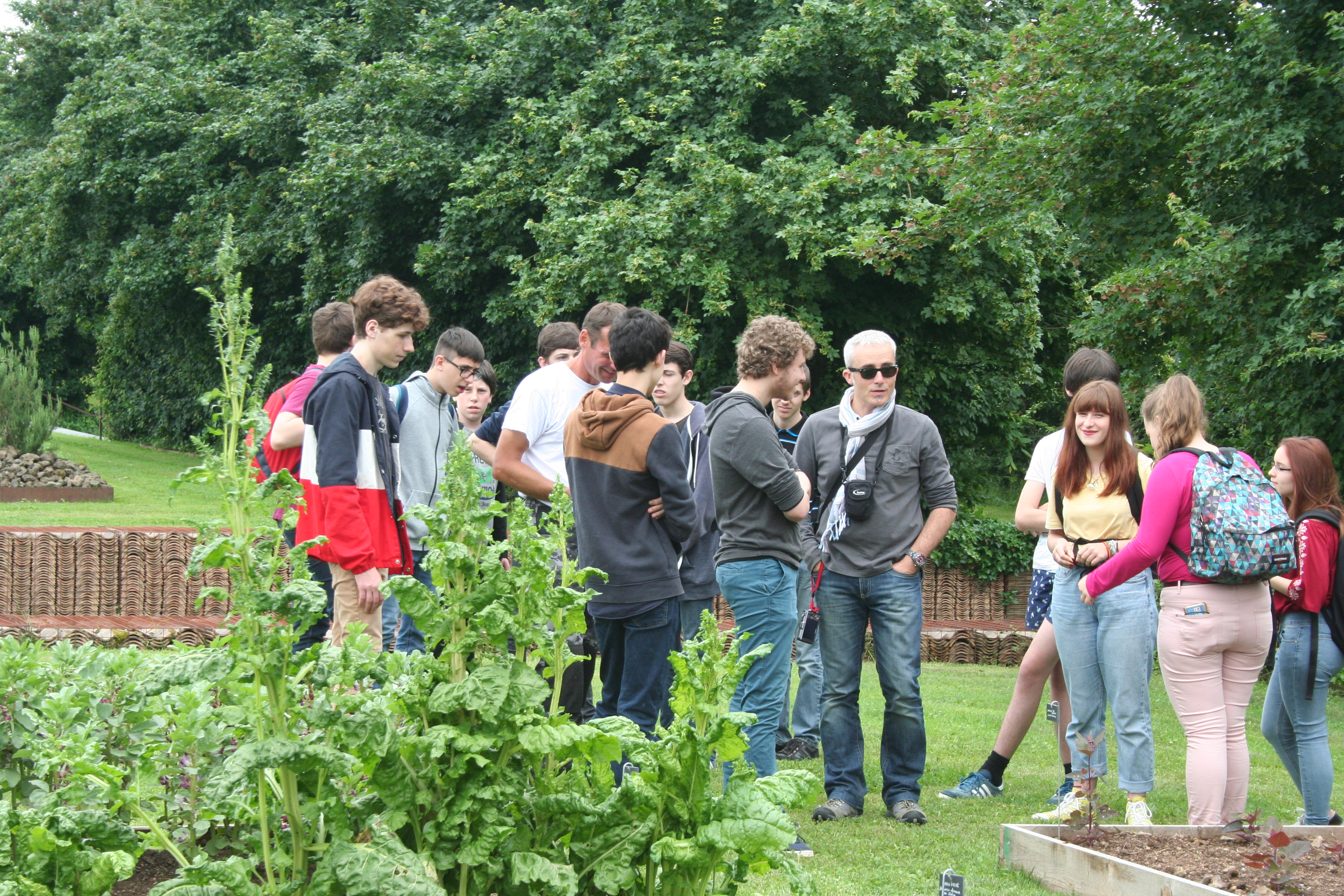 Cassinomagus - Rendez-vous aux Jardins