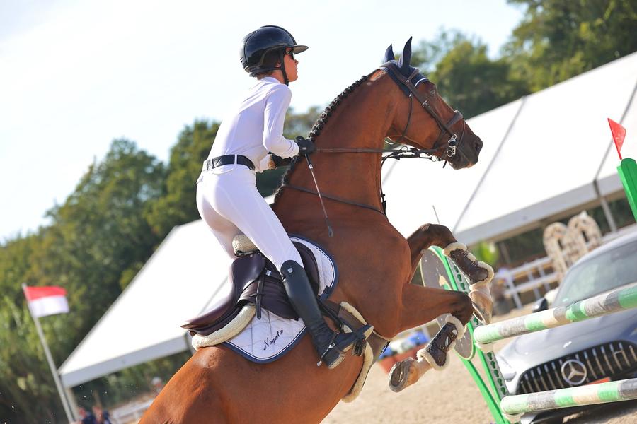 Concours de sauts international - Jumping juin_Gassin