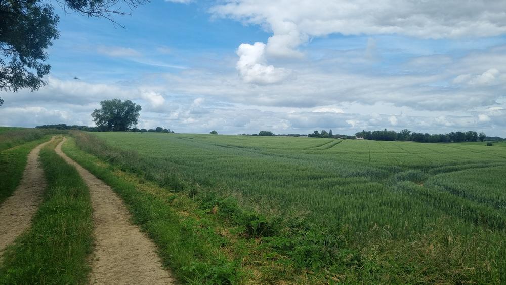 Liaison VTT-VTC (L5) St Trivier de Courtes - Romenay_Saint-Trivier-de-Courtes