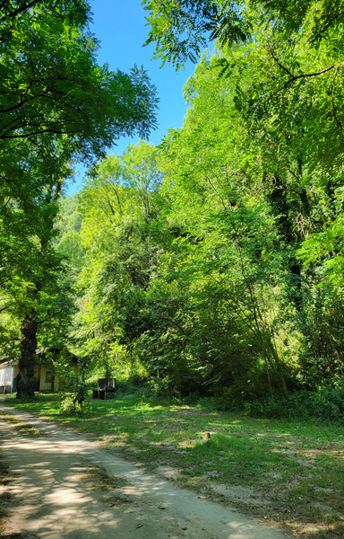 Camping Le Bois Flottant_Lacrouzette camping ombre
