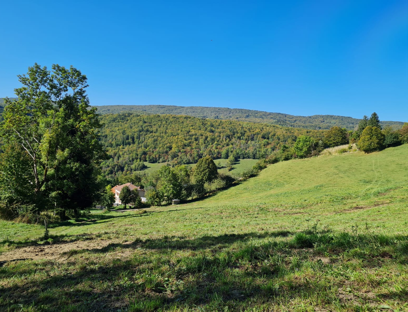 Vue verdoyante du gîte de la Berthuinière entourée de prés à Saint-Martin-en-Vercors