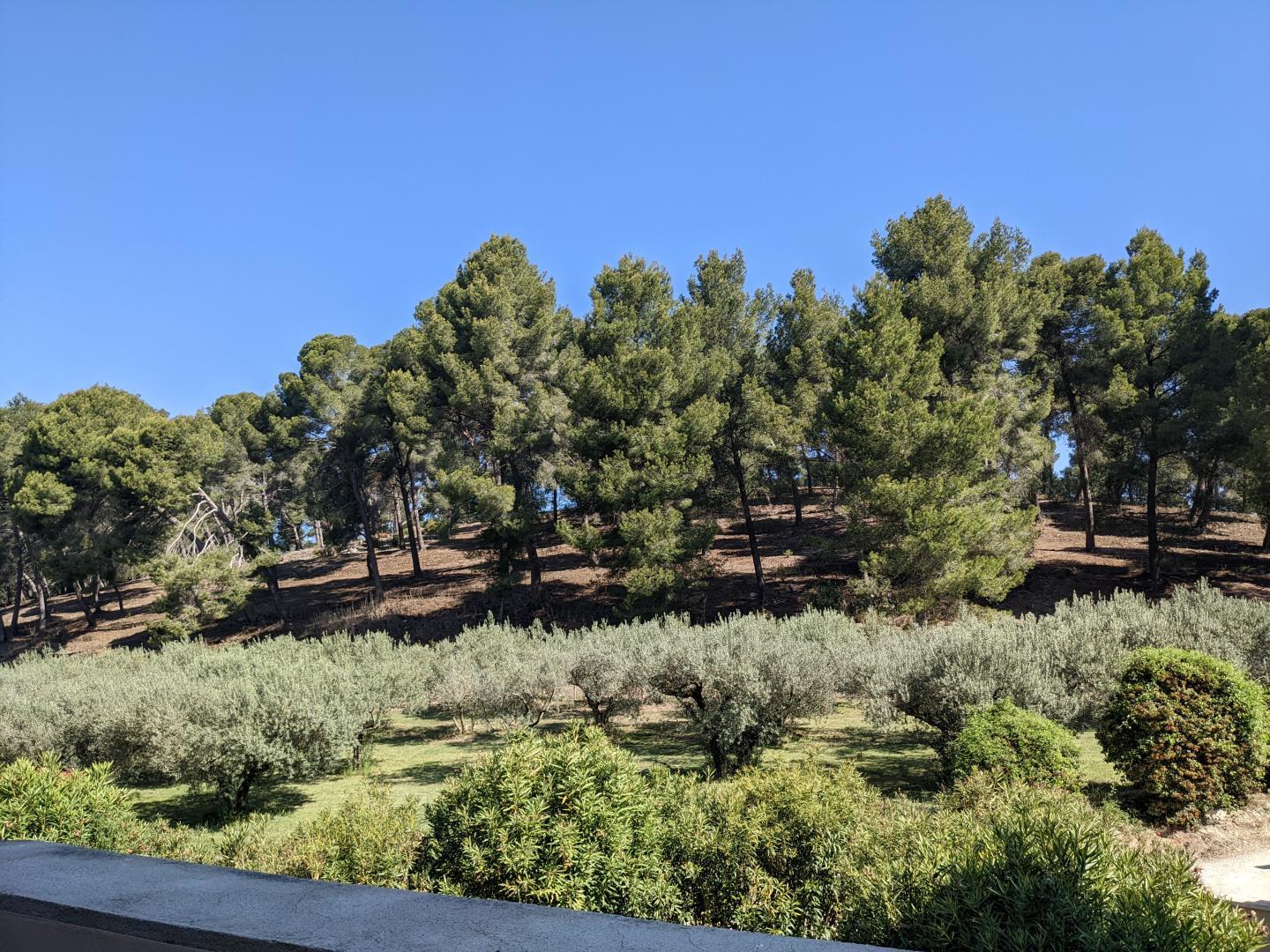 Le Mas Saint Roman - La Berrugueto, Maussane-les-Alpilles - photo 2
