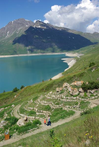 Jardin alpin du Mont-Cenis