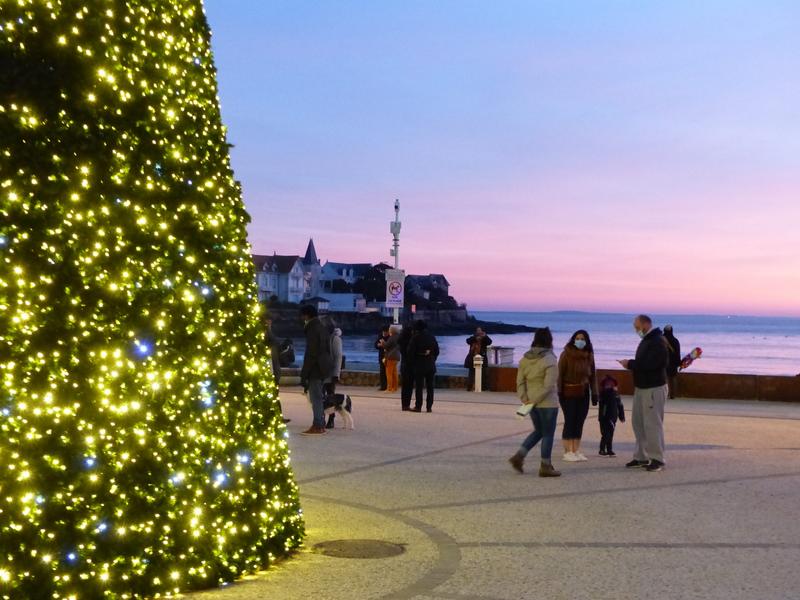 Les Escales de Noël : Fête du sapin 2026