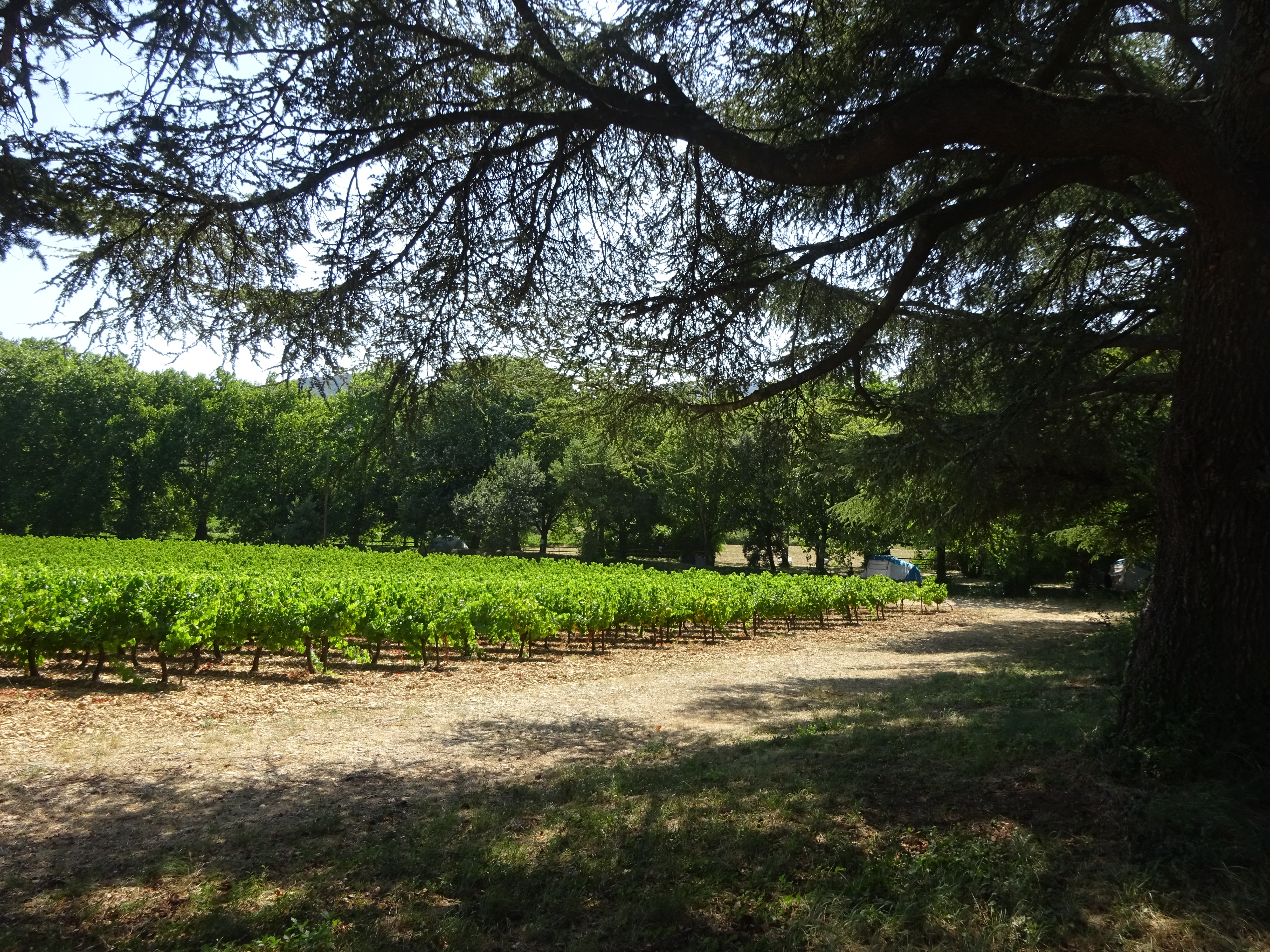 d41369027b0af29892a75dfda4727104