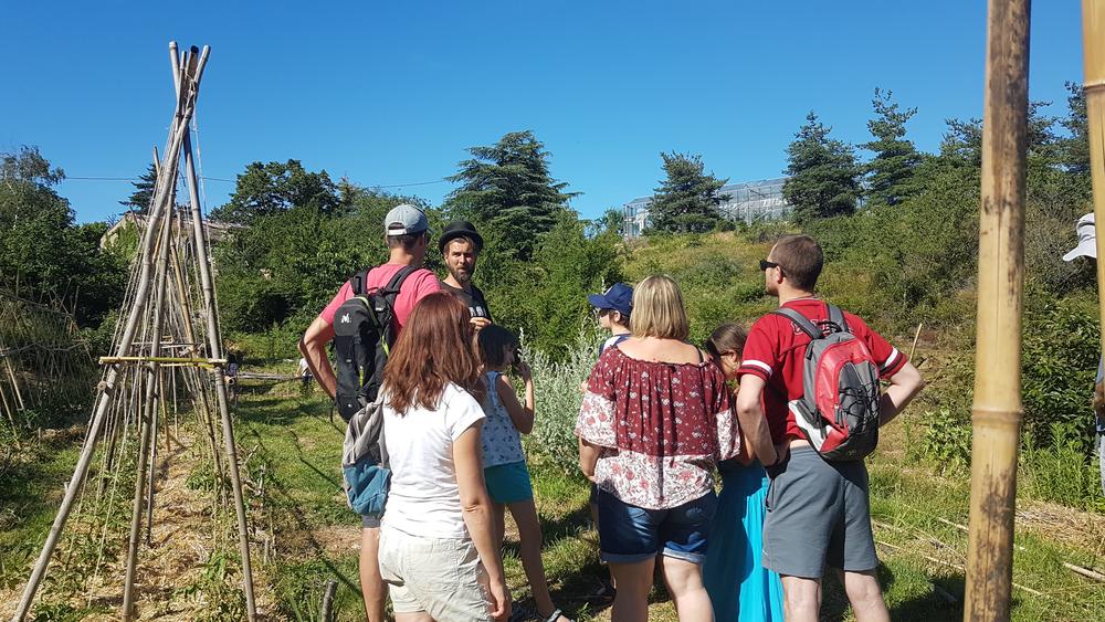 Visite chez Graines de Buisson_Plats