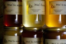 Les Ruchers de la Valserine à Montanges