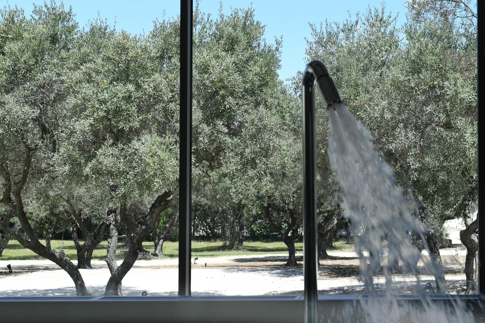 Hôtel Villa Glanum et Spa, Saint-Rémy-de-Provence - photo 12
