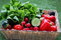 Conférence au Café Crém' : Les bases d'une alimentation saine_Villemoirieu